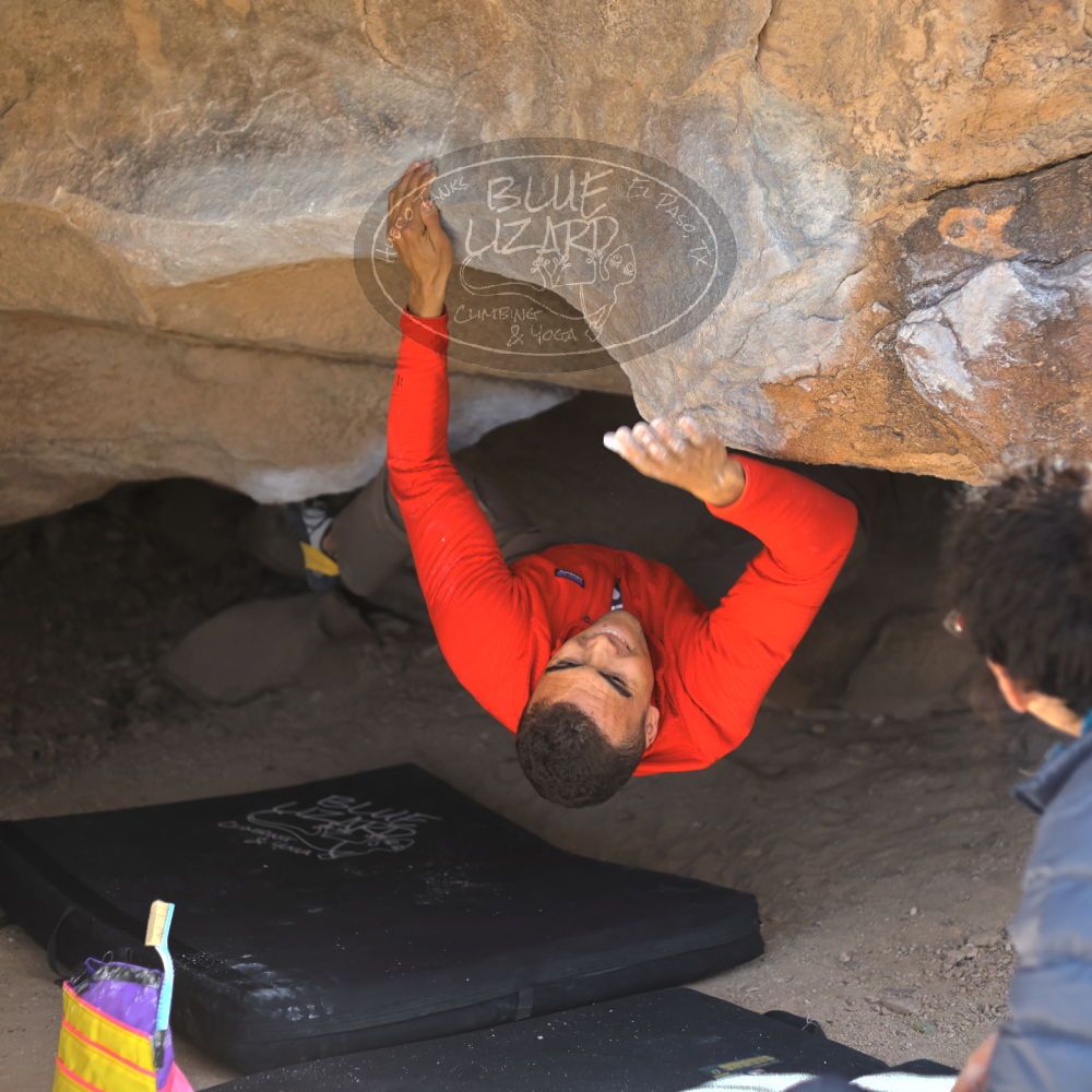 

Filename: SRM_20211219_1325580.jpg
Aperture: f/2.8
Shutter Speed: 1/400
Body: Canon EOS R6
Lens: Canon EF 50mm f/1.8 II