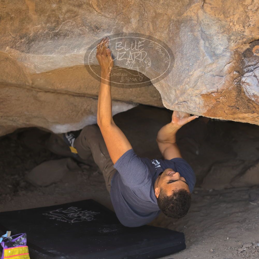 

Filename: SRM_20211219_1334030.jpg
Aperture: f/2.8
Shutter Speed: 1/400
Body: Canon EOS R6
Lens: Canon EF 50mm f/1.8 II