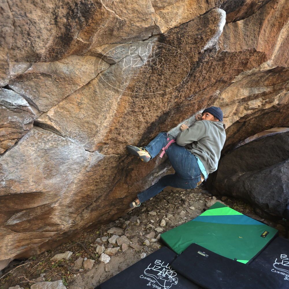 

Filename: SRM_20211219_1343370.jpg
Aperture: f/4.0
Shutter Speed: 1/400
Body: Canon EOS R6
Lens: Canon EF 16-35mm f/2.8 L