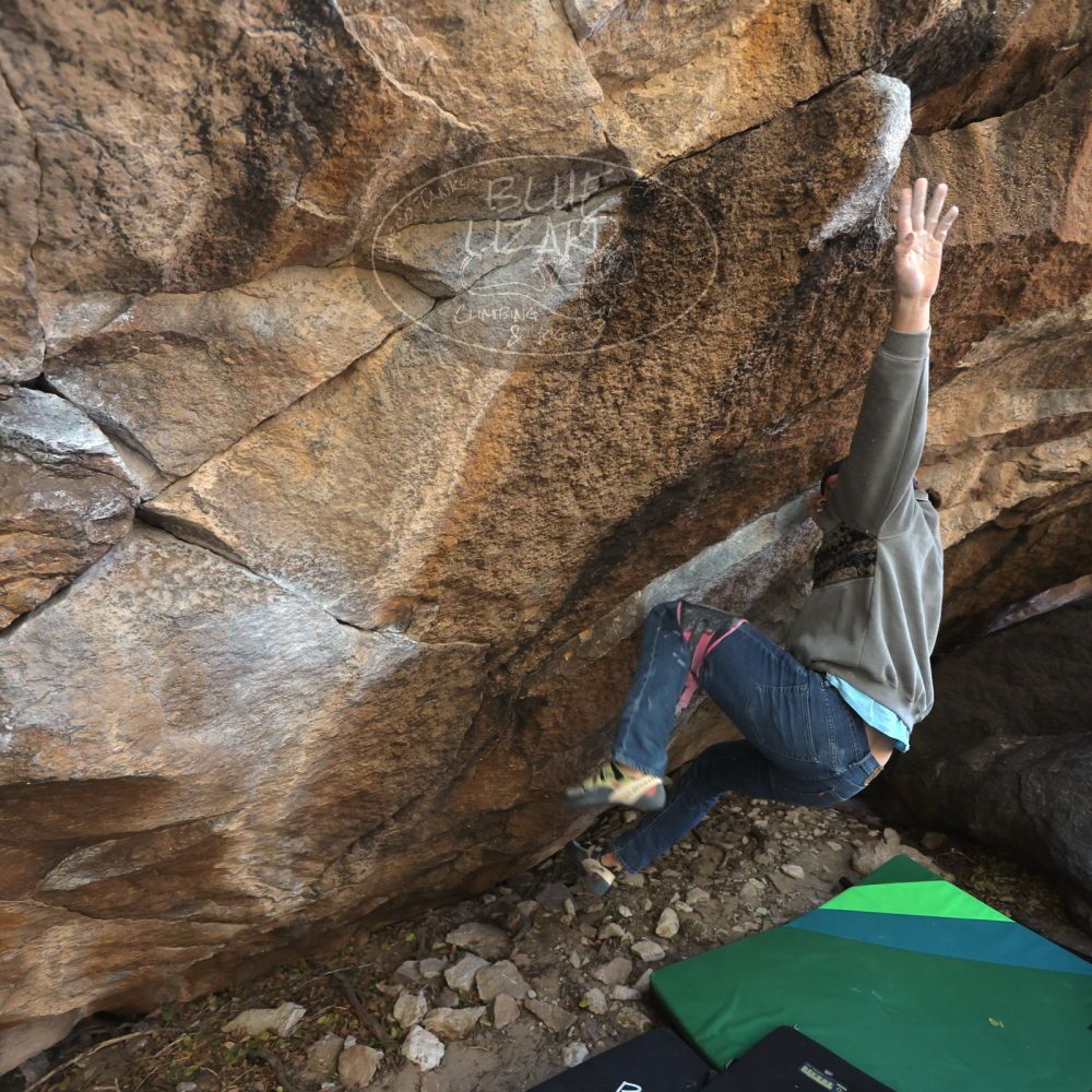 

Filename: SRM_20211219_1343390.jpg
Aperture: f/4.0
Shutter Speed: 1/400
Body: Canon EOS R6
Lens: Canon EF 16-35mm f/2.8 L