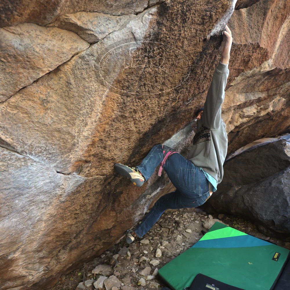 

Filename: SRM_20211219_1345511.jpg
Aperture: f/4.0
Shutter Speed: 1/400
Body: Canon EOS R6
Lens: Canon EF 16-35mm f/2.8 L