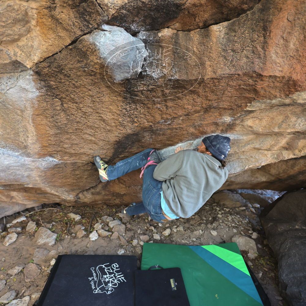 

Filename: SRM_20211219_1350250.jpg
Aperture: f/4.0
Shutter Speed: 1/400
Body: Canon EOS R6
Lens: Canon EF 16-35mm f/2.8 L