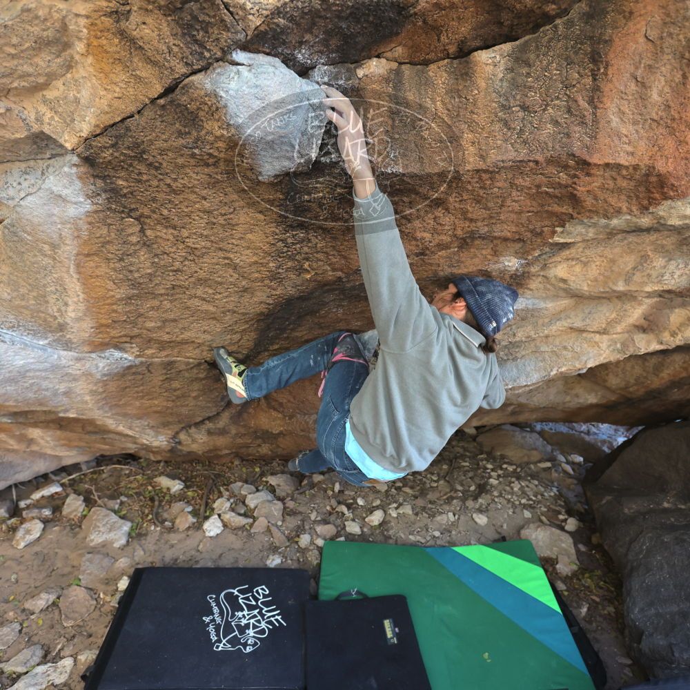 

Filename: SRM_20211219_1350270.jpg
Aperture: f/4.0
Shutter Speed: 1/400
Body: Canon EOS R6
Lens: Canon EF 16-35mm f/2.8 L