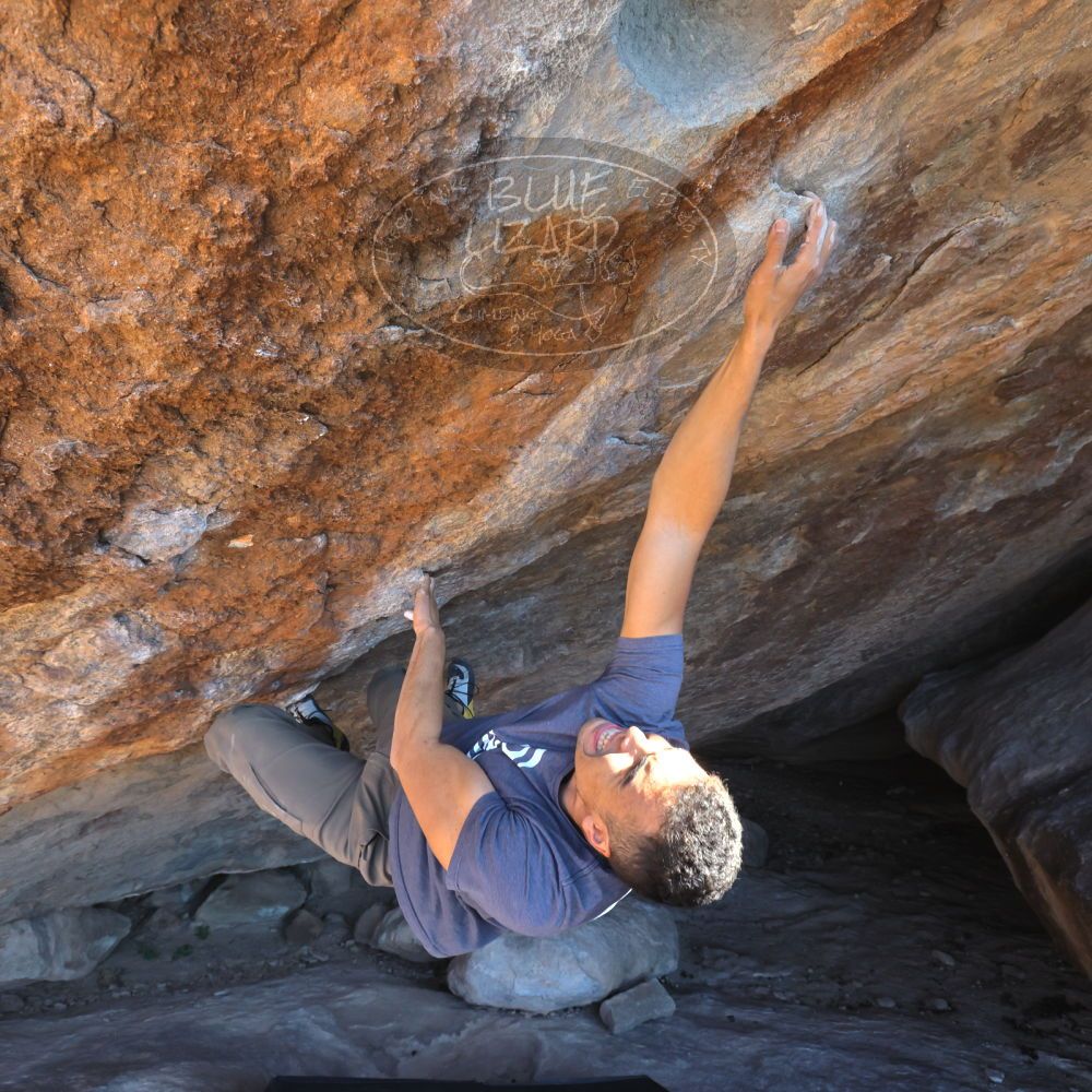 

Filename: SRM_20211219_1417141.jpg
Aperture: f/8.0
Shutter Speed: 1/400
Body: Canon EOS R6
Lens: Canon EF 16-35mm f/2.8 L