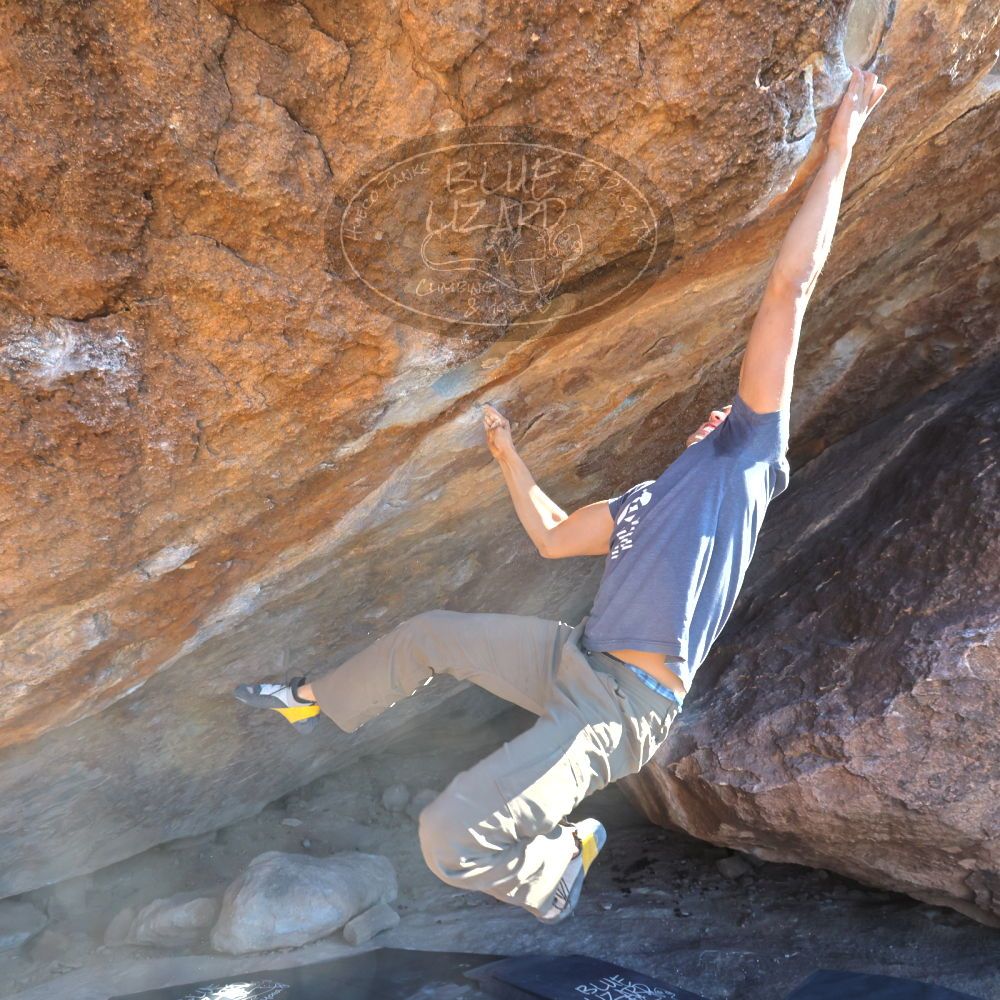 

Filename: SRM_20211219_1419170.jpg
Aperture: f/8.0
Shutter Speed: 1/400
Body: Canon EOS R6
Lens: Canon EF 16-35mm f/2.8 L