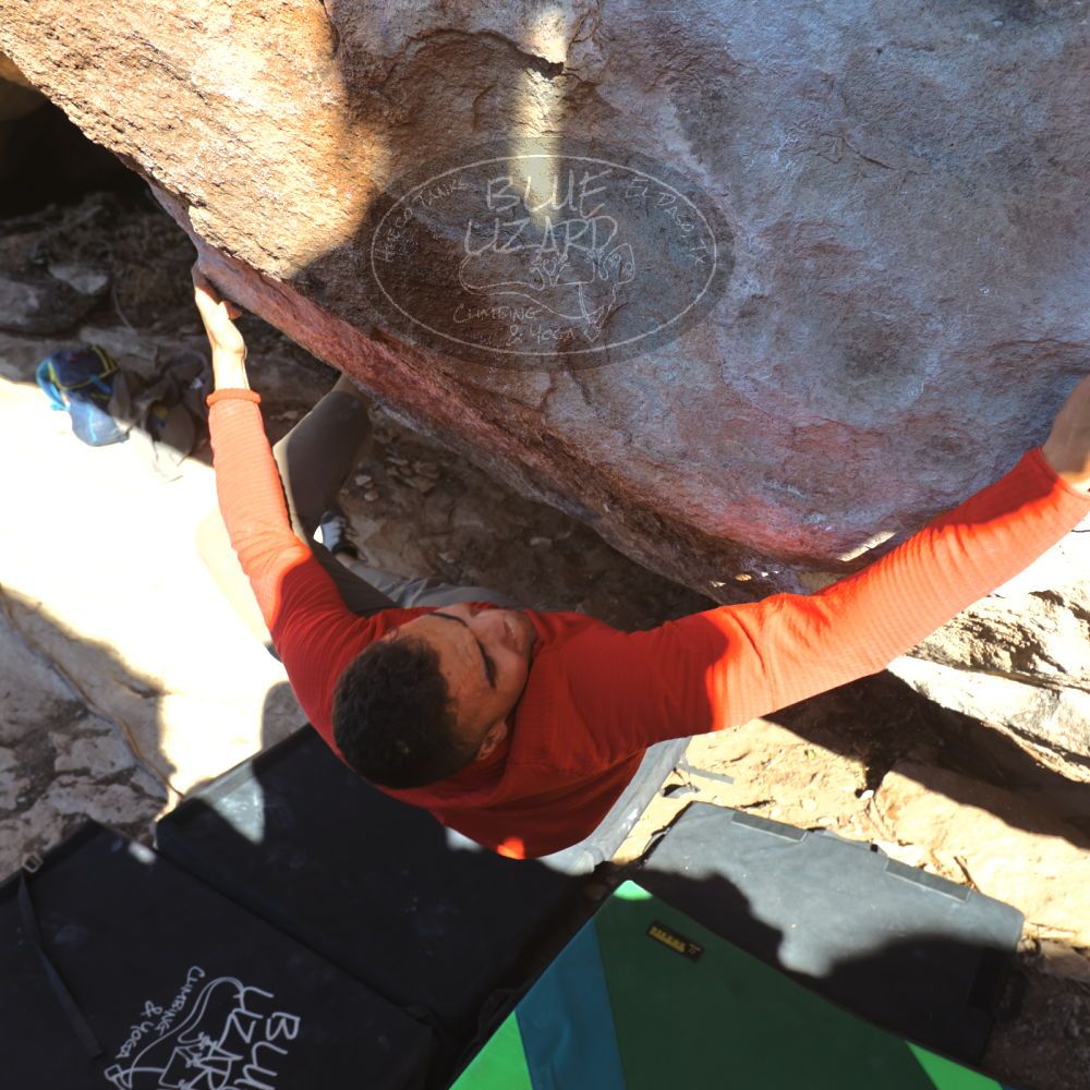 

Filename: SRM_20211219_1458160.jpg
Aperture: f/5.6
Shutter Speed: 1/400
Body: Canon EOS R6
Lens: Canon EF 16-35mm f/2.8 L