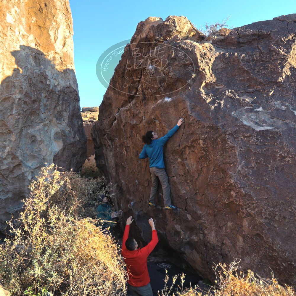 

Filename: SRM_20211219_1629360.jpg
Aperture: f/2.8
Shutter Speed: 1/500
Body: Canon EOS R6
Lens: Canon EF 16-35mm f/2.8 L