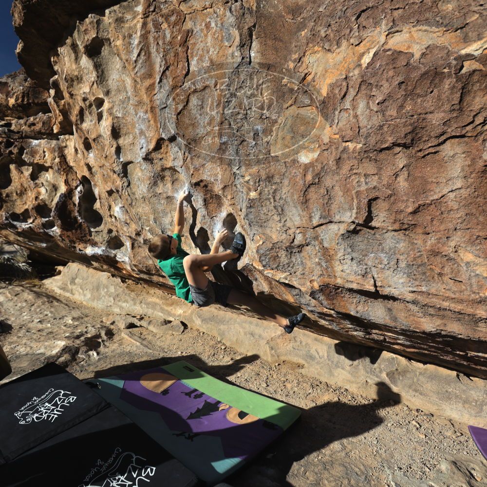 

Filename: SRM_20211222_0944110.jpg
Aperture: f/4.0
Shutter Speed: 1/1000
Body: Canon EOS R6
Lens: Canon EF 16-35mm f/2.8 L