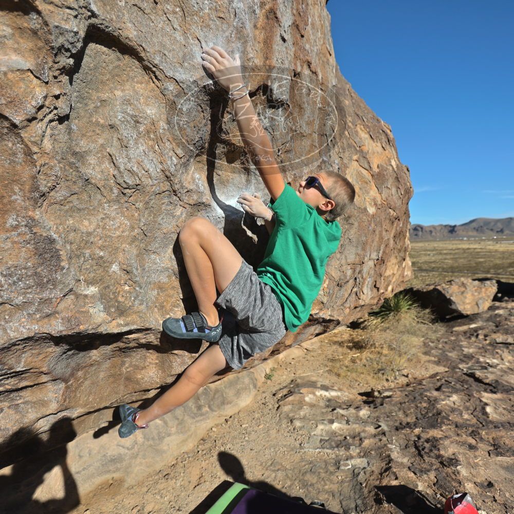 

Filename: SRM_20211222_0949591.jpg
Aperture: f/4.0
Shutter Speed: 1/1000
Body: Canon EOS R6
Lens: Canon EF 16-35mm f/2.8 L