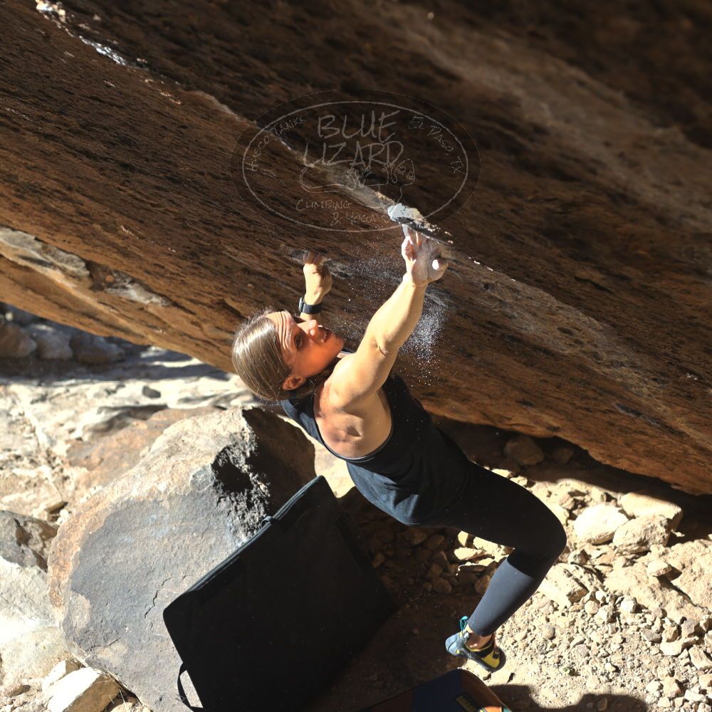 

Filename: SRM_20211222_1047510.jpg
Aperture: f/4.0
Shutter Speed: 1/1000
Body: Canon EOS R6
Lens: Canon EF 50mm f/1.8 II