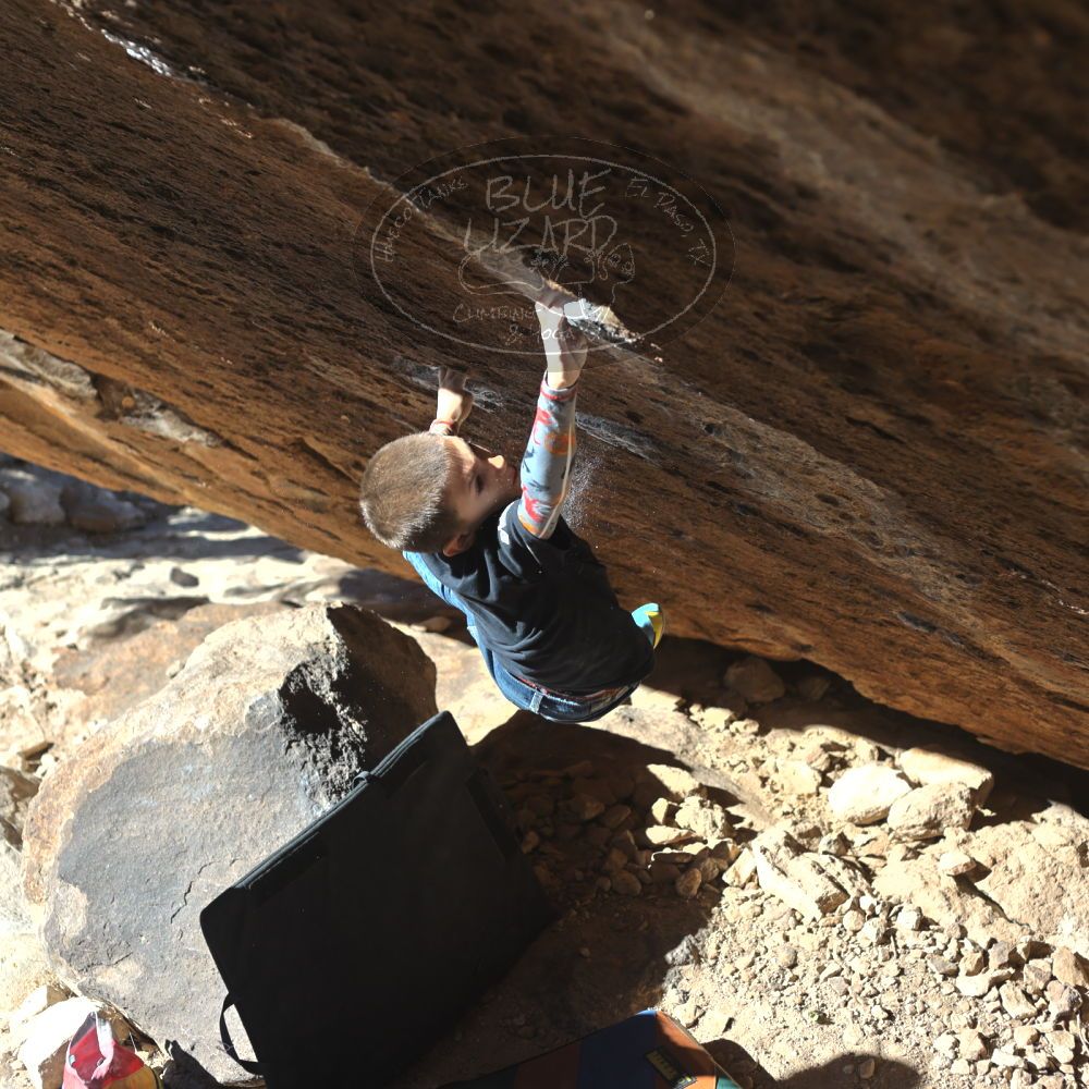 

Filename: SRM_20211222_1048120.jpg
Aperture: f/4.0
Shutter Speed: 1/1000
Body: Canon EOS R6
Lens: Canon EF 50mm f/1.8 II