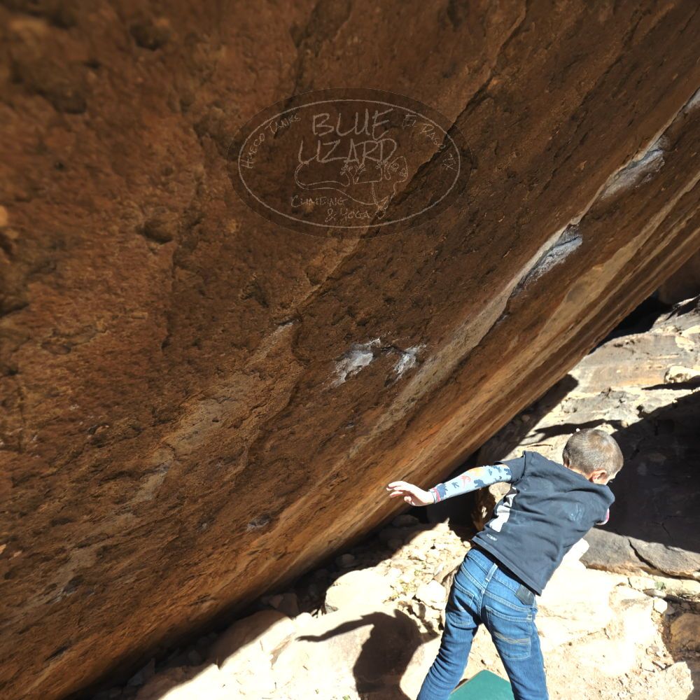 

Filename: SRM_20211222_1109452.jpg
Aperture: f/2.8
Shutter Speed: 1/4000
Body: Canon EOS R6
Lens: Canon EF 16-35mm f/2.8 L