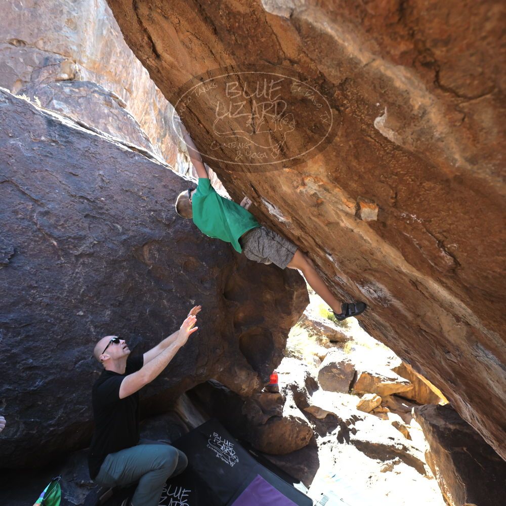 

Filename: SRM_20211222_1132330.jpg
Aperture: f/5.6
Shutter Speed: 1/500
Body: Canon EOS R6
Lens: Canon EF 16-35mm f/2.8 L