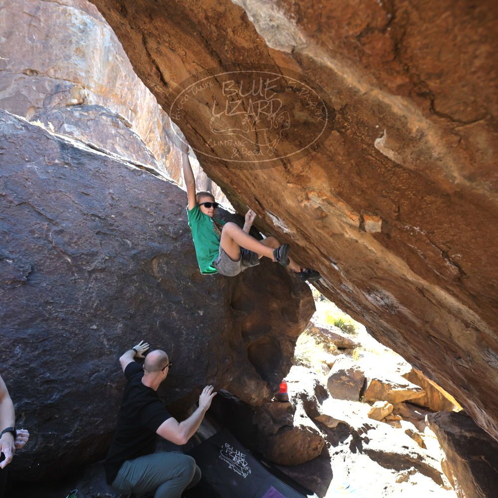 

Filename: SRM_20211222_1132370.jpg
Aperture: f/5.6
Shutter Speed: 1/500
Body: Canon EOS R6
Lens: Canon EF 16-35mm f/2.8 L