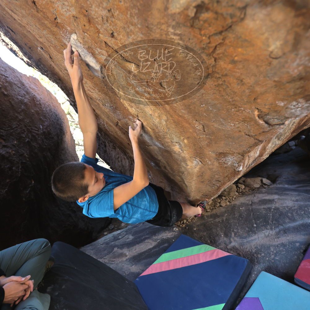 

Filename: SRM_20211222_1259380.jpg
Aperture: f/4.0
Shutter Speed: 1/400
Body: Canon EOS R6
Lens: Canon EF 16-35mm f/2.8 L