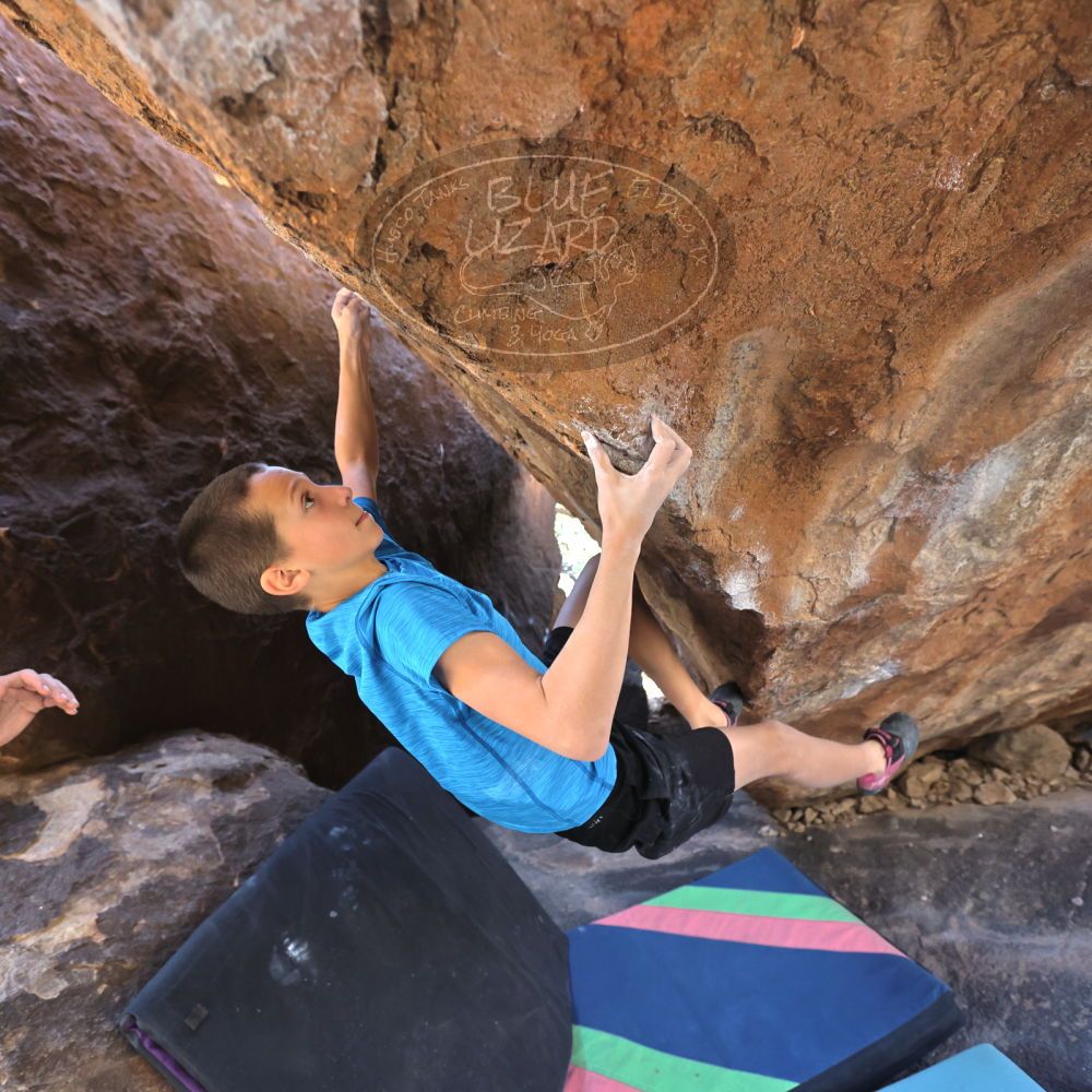 

Filename: SRM_20211222_1259450.jpg
Aperture: f/4.0
Shutter Speed: 1/400
Body: Canon EOS R6
Lens: Canon EF 16-35mm f/2.8 L