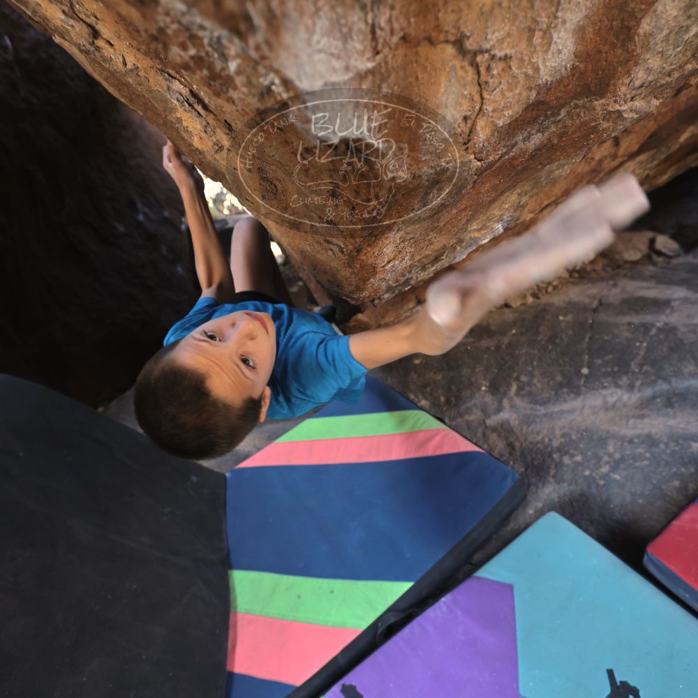 

Filename: SRM_20211222_1317160.jpg
Aperture: f/4.0
Shutter Speed: 1/400
Body: Canon EOS R6
Lens: Canon EF 16-35mm f/2.8 L