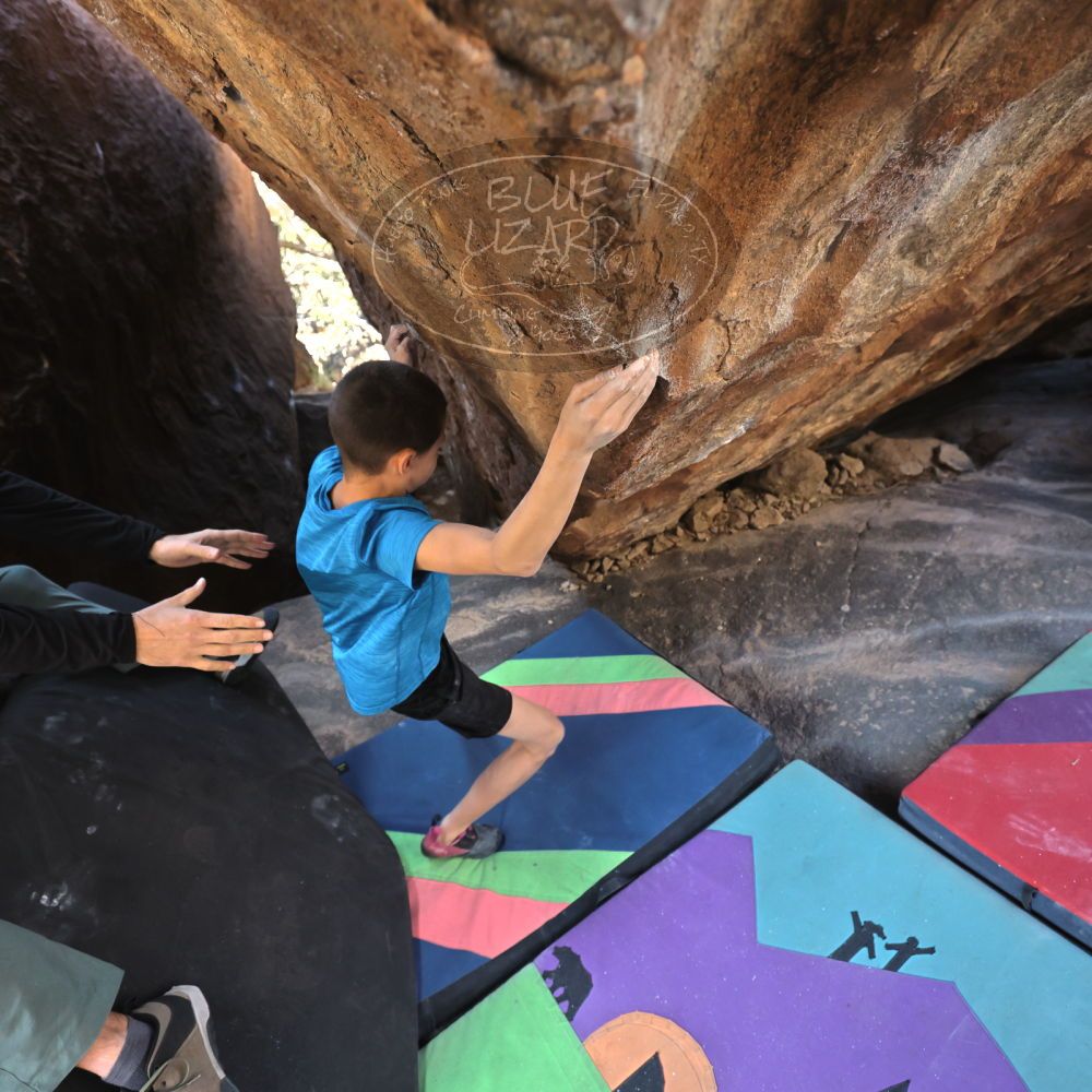 

Filename: SRM_20211222_1318420.jpg
Aperture: f/4.0
Shutter Speed: 1/400
Body: Canon EOS R6
Lens: Canon EF 16-35mm f/2.8 L