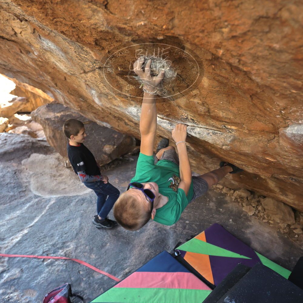 

Filename: SRM_20211222_1332540.jpg
Aperture: f/4.0
Shutter Speed: 1/400
Body: Canon EOS R6
Lens: Canon EF 16-35mm f/2.8 L