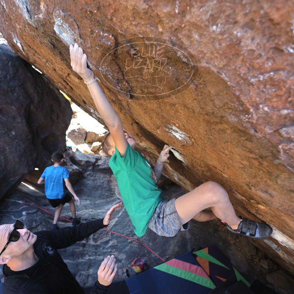 

Filename: SRM_20211222_1334142.jpg
Aperture: f/4.0
Shutter Speed: 1/400
Body: Canon EOS R6
Lens: Canon EF 16-35mm f/2.8 L