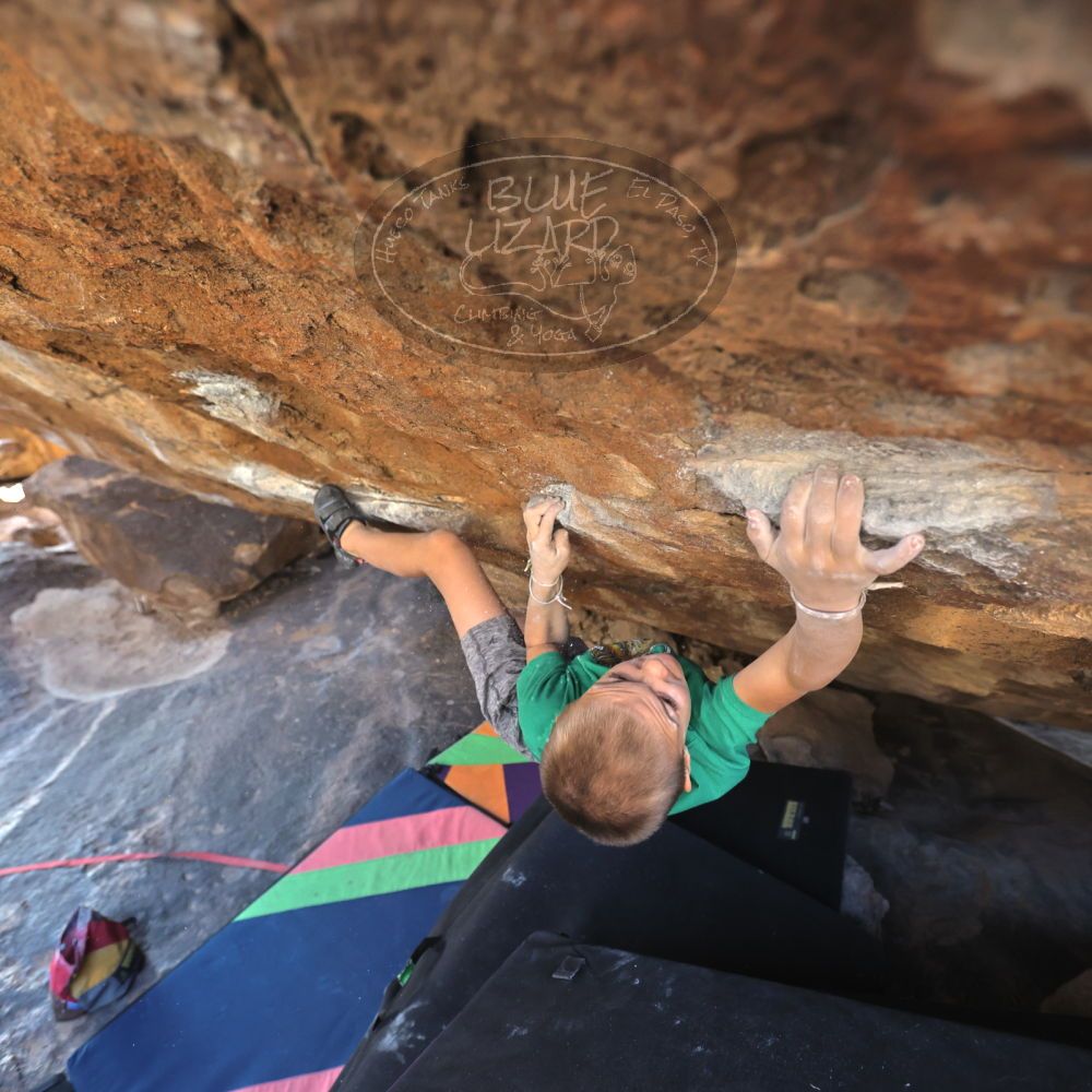 

Filename: SRM_20211222_1337380.jpg
Aperture: f/4.0
Shutter Speed: 1/400
Body: Canon EOS R6
Lens: Canon EF 16-35mm f/2.8 L