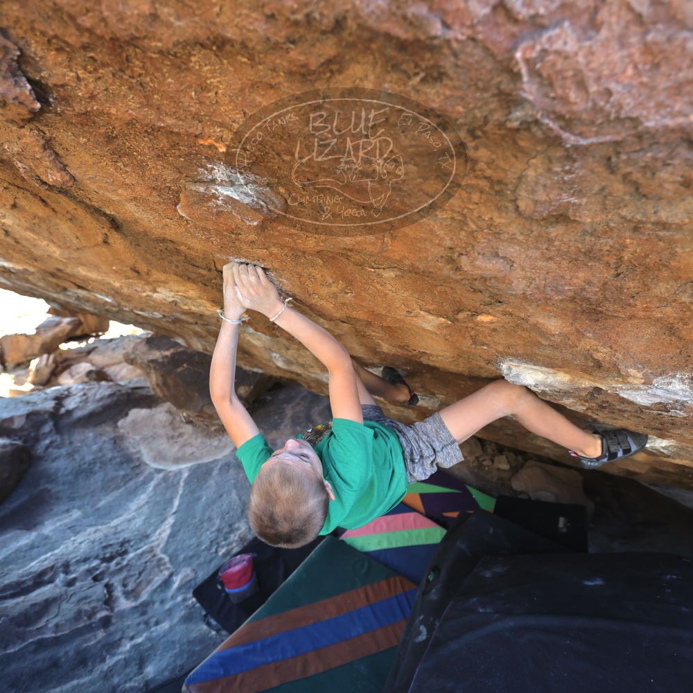 

Filename: SRM_20211222_1403540.jpg
Aperture: f/4.0
Shutter Speed: 1/400
Body: Canon EOS R6
Lens: Canon EF 16-35mm f/2.8 L