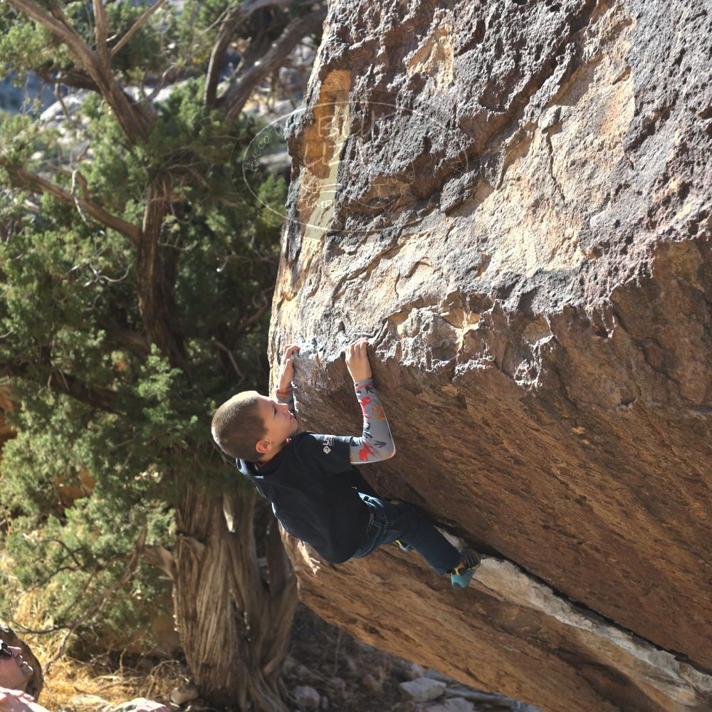 

Filename: SRM_20211222_1416400.jpg
Aperture: f/4.0
Shutter Speed: 1/400
Body: Canon EOS R6
Lens: Canon EF 50mm f/1.8 II