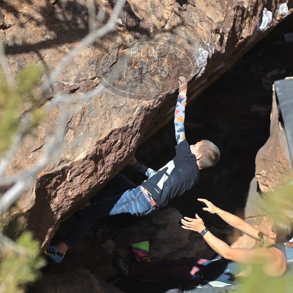 

Filename: SRM_20211222_1418410.jpg
Aperture: f/4.0
Shutter Speed: 1/2000
Body: Canon EOS R6
Lens: Canon EF 50mm f/1.8 II