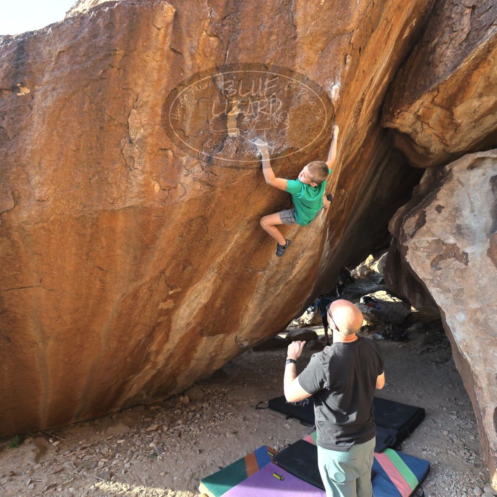 

Filename: SRM_20211222_1533420.jpg
Aperture: f/5.6
Shutter Speed: 1/400
Body: Canon EOS R6
Lens: Canon EF 16-35mm f/2.8 L