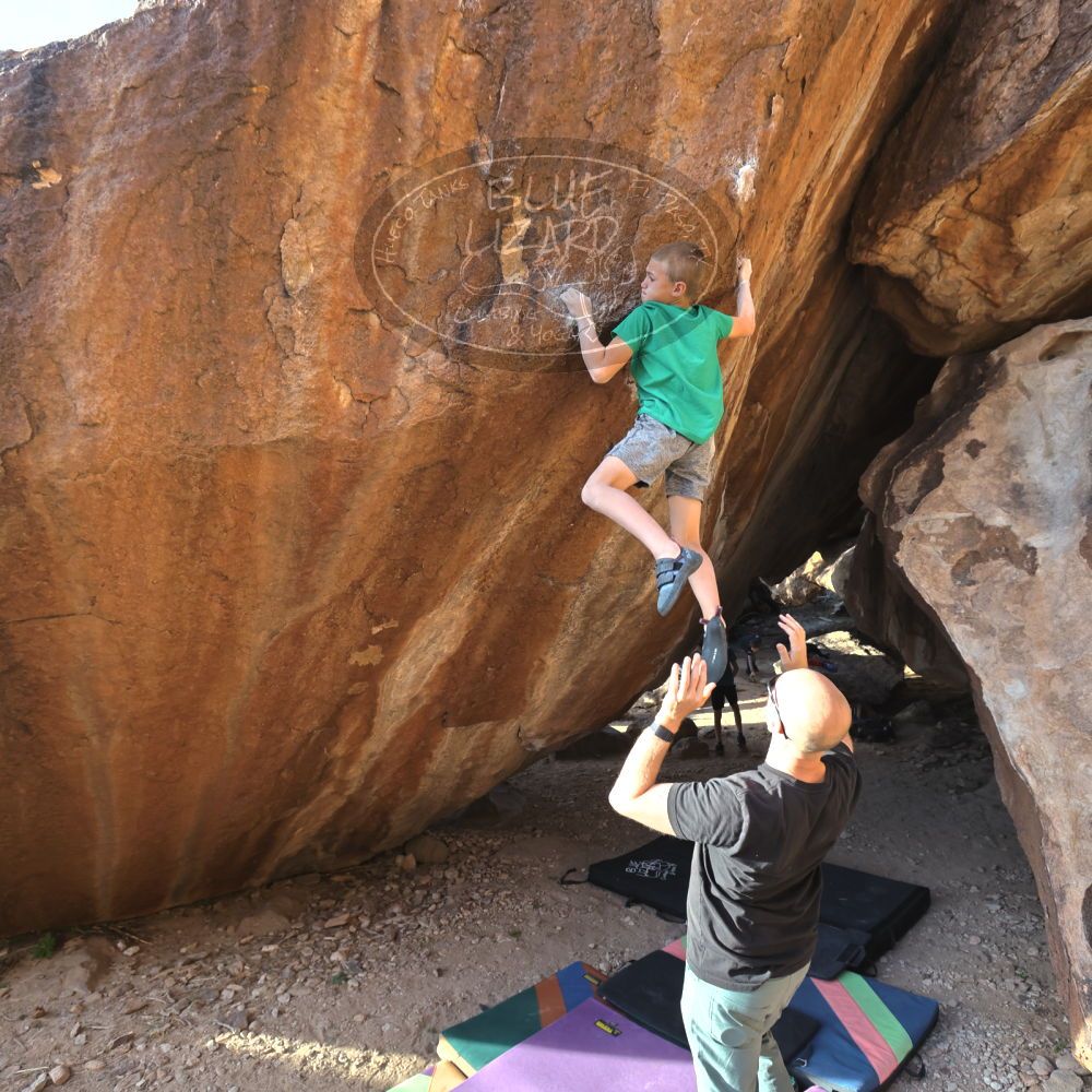 

Filename: SRM_20211222_1533440.jpg
Aperture: f/5.6
Shutter Speed: 1/400
Body: Canon EOS R6
Lens: Canon EF 16-35mm f/2.8 L