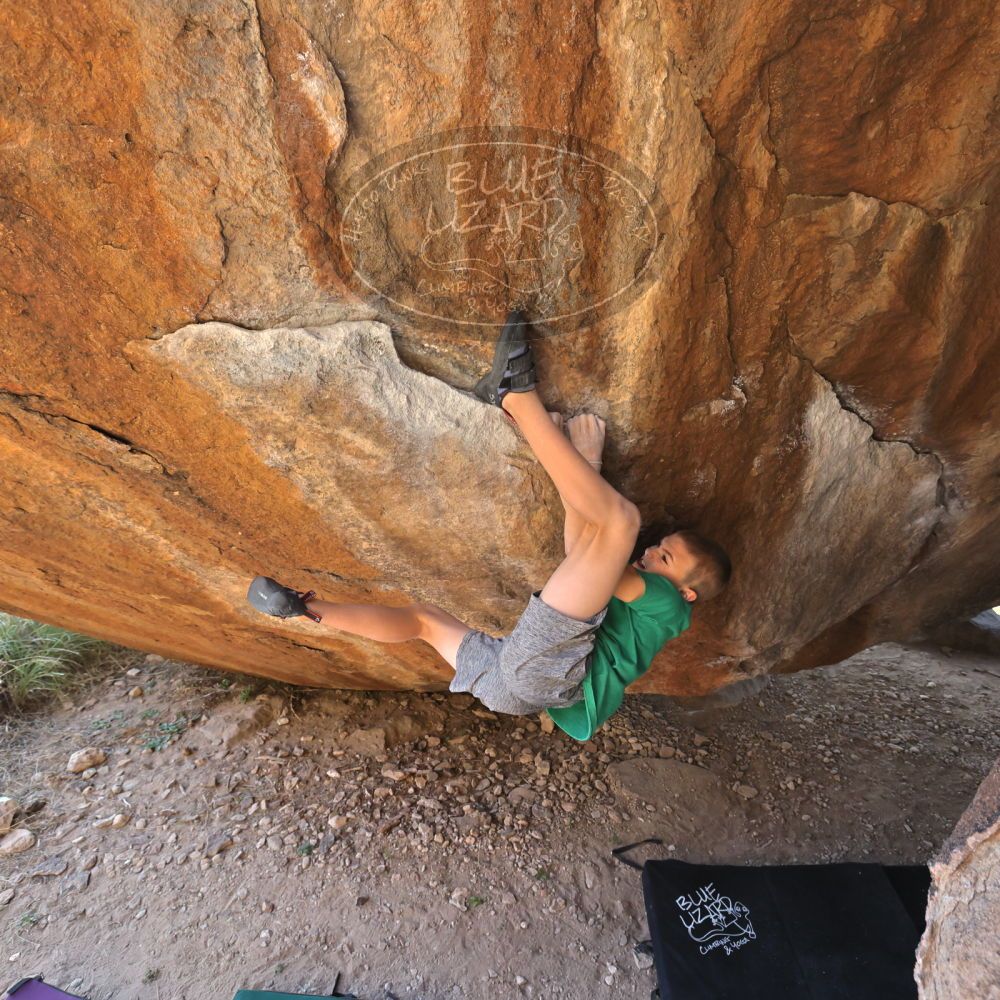 

Filename: SRM_20211222_1546200.jpg
Aperture: f/5.6
Shutter Speed: 1/400
Body: Canon EOS R6
Lens: Canon EF 16-35mm f/2.8 L