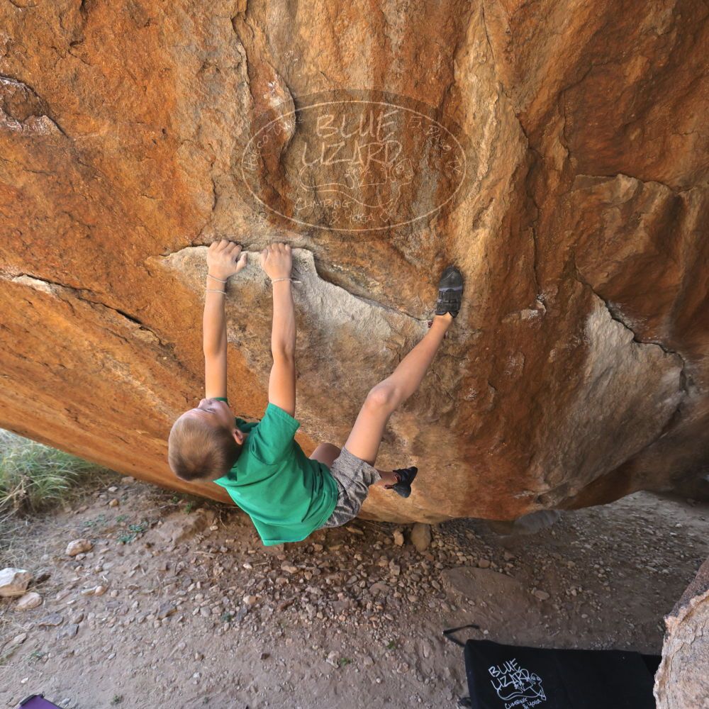 

Filename: SRM_20211222_1546290.jpg
Aperture: f/5.6
Shutter Speed: 1/400
Body: Canon EOS R6
Lens: Canon EF 16-35mm f/2.8 L