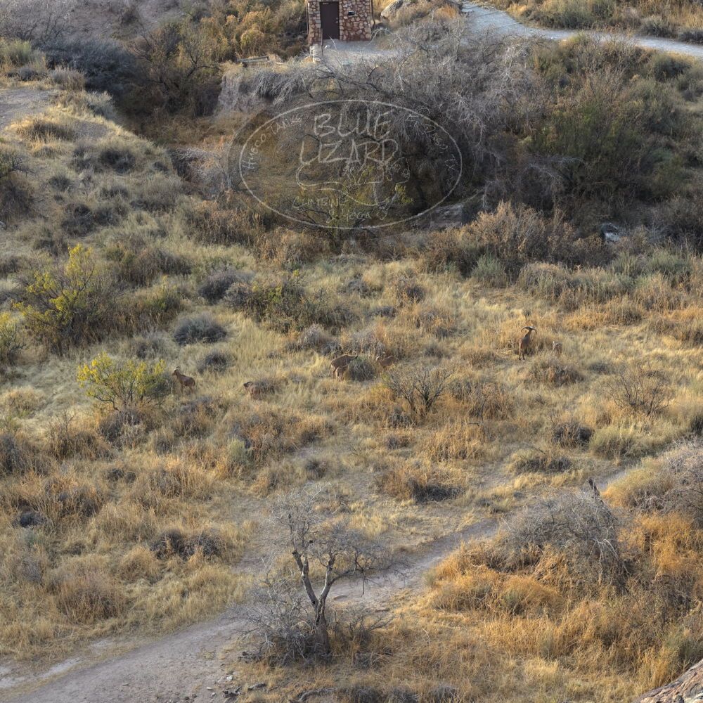 

Filename: SRM_20211222_1617130.jpg
Aperture: f/4.5
Shutter Speed: 1/1000
Body: Canon EOS R6
Lens: Canon EF 85mm f/1.2 L II