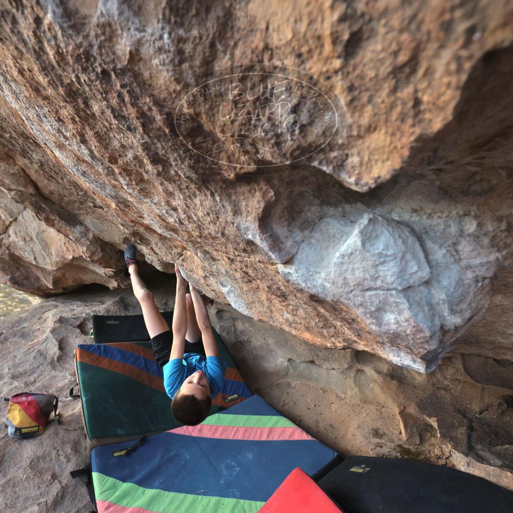 

Filename: SRM_20211222_1644580.jpg
Aperture: f/5.6
Shutter Speed: 1/400
Body: Canon EOS R6
Lens: Canon EF 16-35mm f/2.8 L