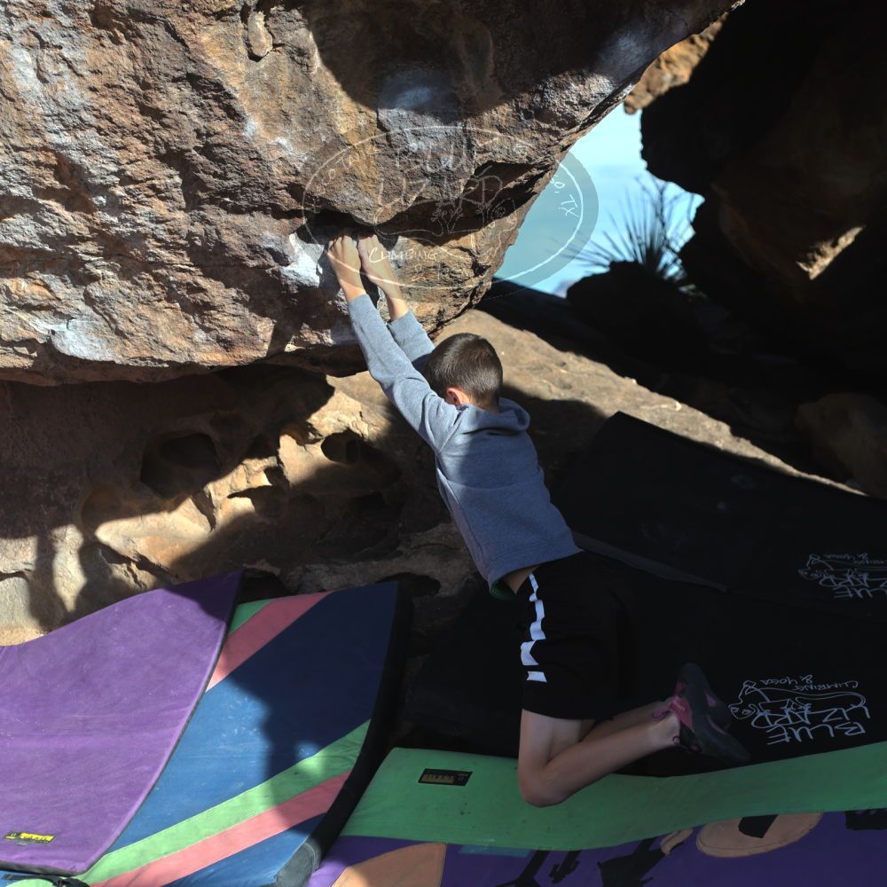 

Filename: SRM_20211223_0901462.jpg
Aperture: f/4.0
Shutter Speed: 1/3200
Body: Canon EOS R6
Lens: Canon EF 50mm f/1.8 II