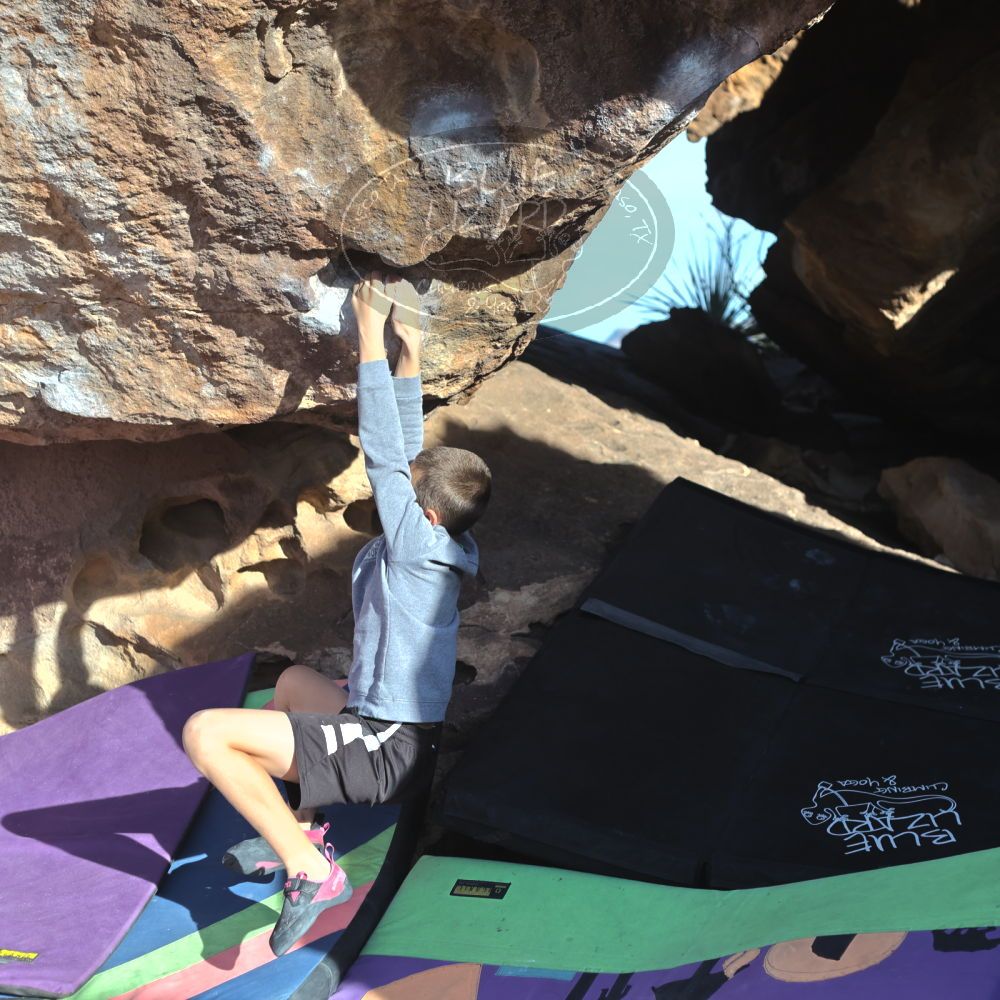 

Filename: SRM_20211223_0901470.jpg
Aperture: f/4.0
Shutter Speed: 1/3200
Body: Canon EOS R6
Lens: Canon EF 50mm f/1.8 II