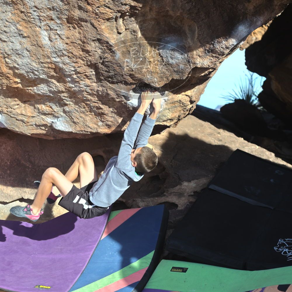 

Filename: SRM_20211223_0901472.jpg
Aperture: f/4.0
Shutter Speed: 1/3200
Body: Canon EOS R6
Lens: Canon EF 50mm f/1.8 II