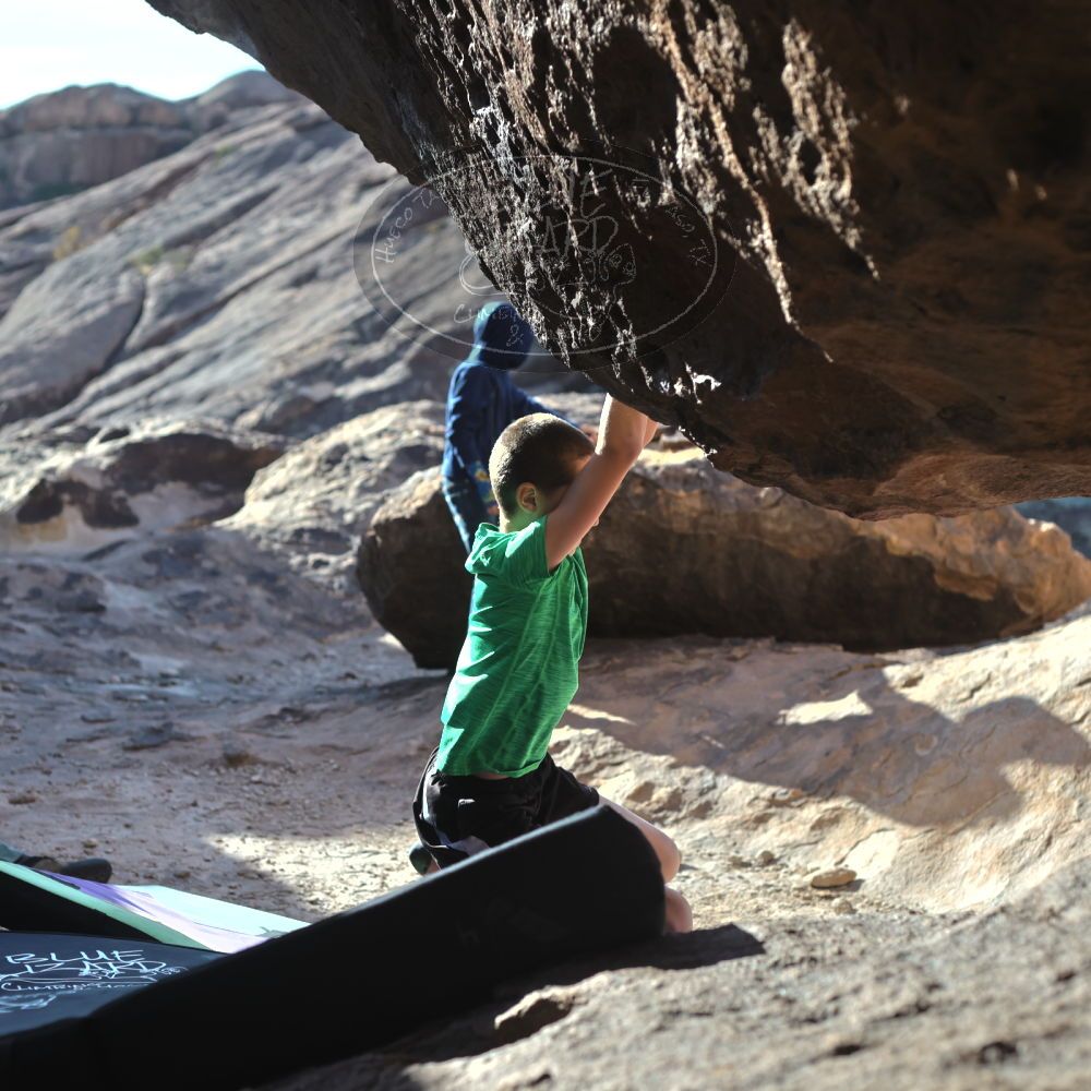 

Filename: SRM_20211223_0926260.jpg
Aperture: f/4.0
Shutter Speed: 1/3200
Body: Canon EOS R6
Lens: Canon EF 50mm f/1.8 II