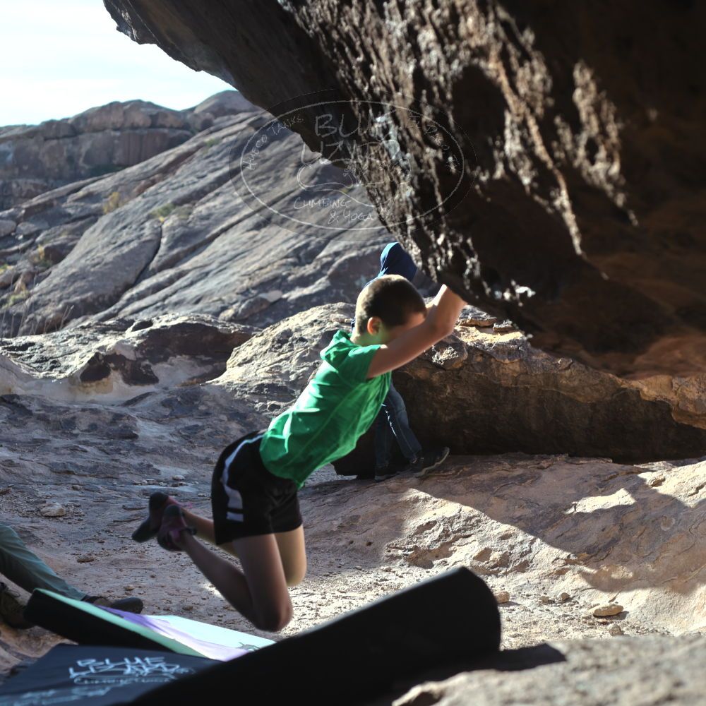 

Filename: SRM_20211223_0926270.jpg
Aperture: f/4.0
Shutter Speed: 1/3200
Body: Canon EOS R6
Lens: Canon EF 50mm f/1.8 II