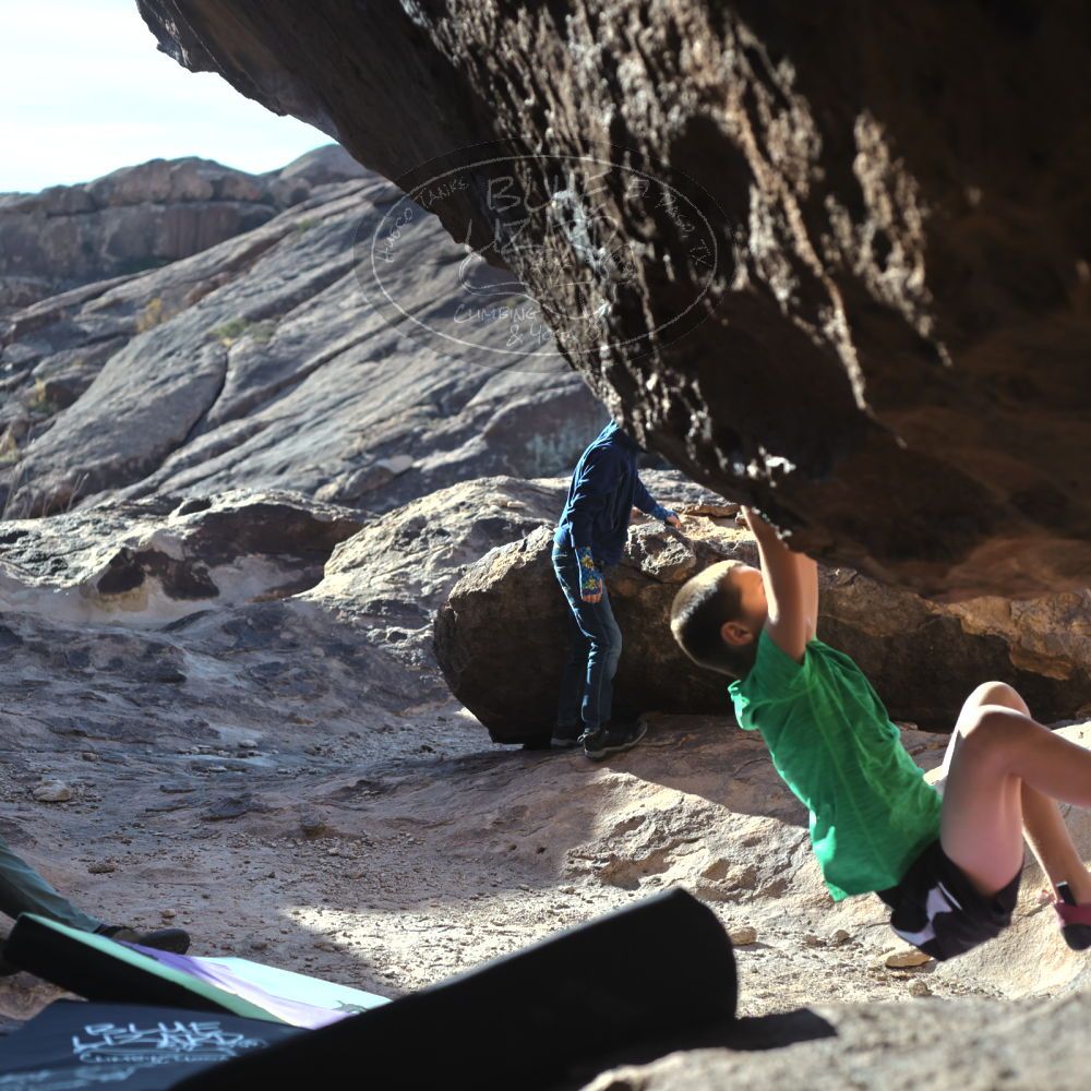 

Filename: SRM_20211223_0926273.jpg
Aperture: f/4.0
Shutter Speed: 1/3200
Body: Canon EOS R6
Lens: Canon EF 50mm f/1.8 II