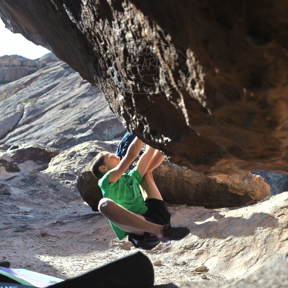 

Filename: SRM_20211223_0926281.jpg
Aperture: f/4.0
Shutter Speed: 1/3200
Body: Canon EOS R6
Lens: Canon EF 50mm f/1.8 II