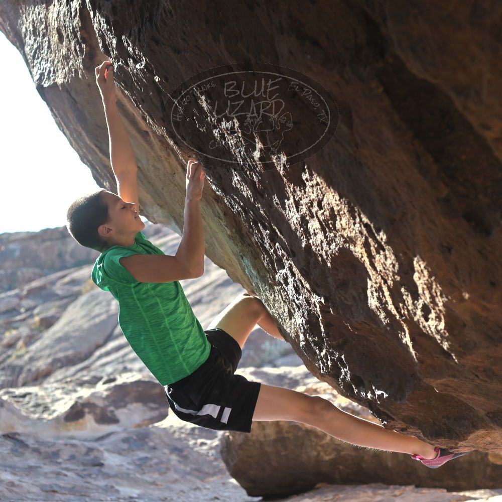 

Filename: SRM_20211223_0926520.jpg
Aperture: f/4.0
Shutter Speed: 1/3200
Body: Canon EOS R6
Lens: Canon EF 50mm f/1.8 II