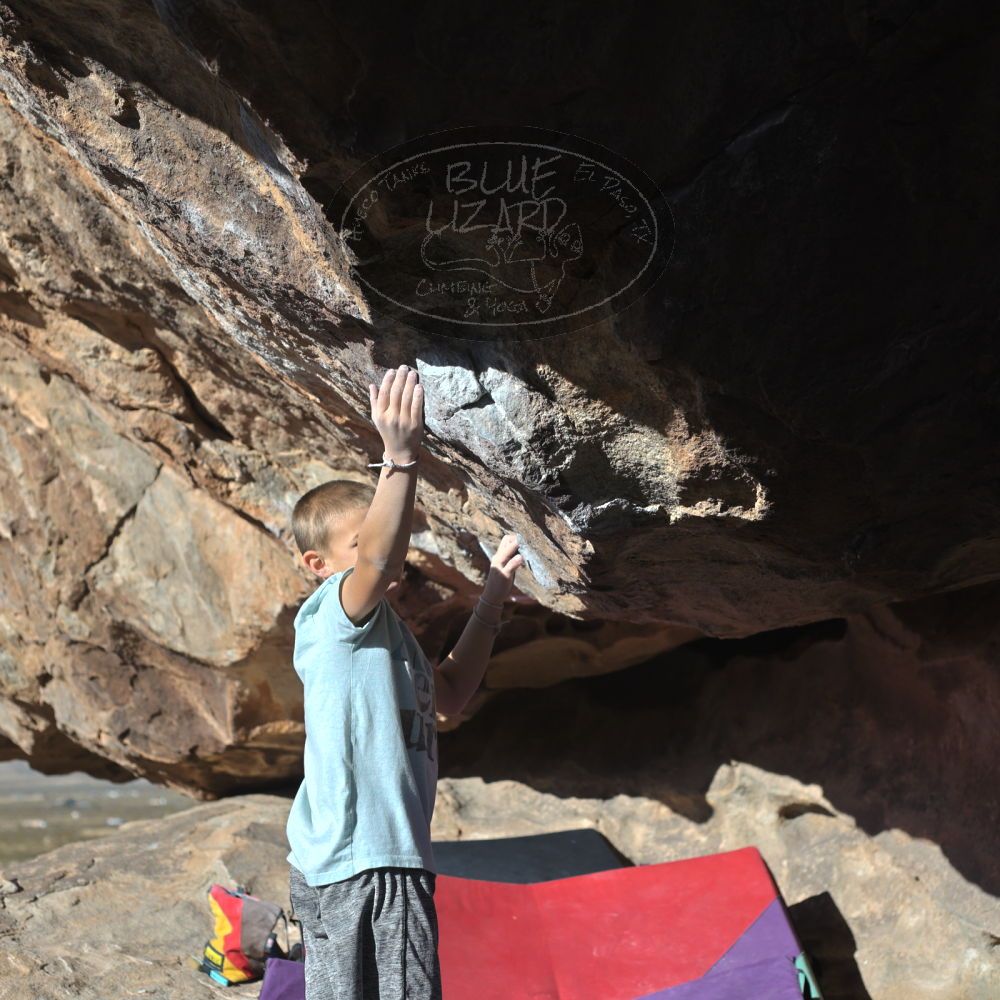 

Filename: SRM_20211223_0941240.jpg
Aperture: f/4.0
Shutter Speed: 1/3200
Body: Canon EOS R6
Lens: Canon EF 50mm f/1.8 II