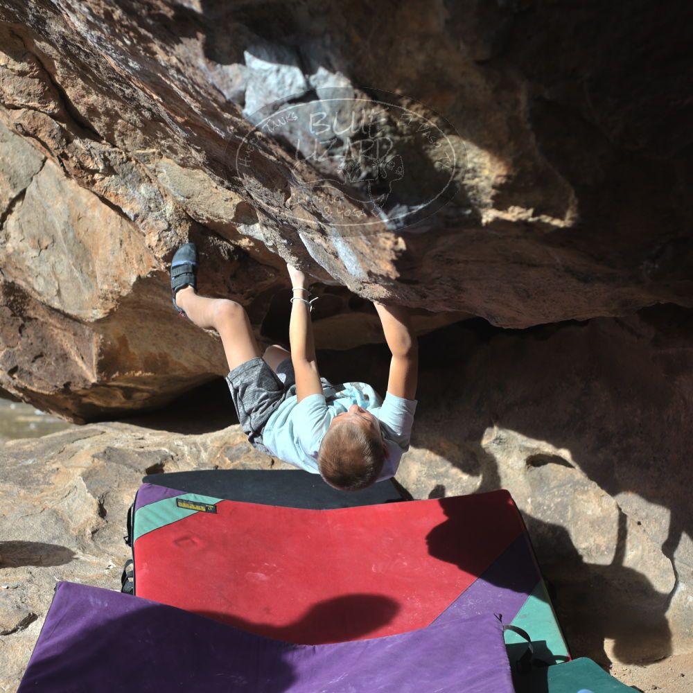 

Filename: SRM_20211223_0953120.jpg
Aperture: f/4.0
Shutter Speed: 1/2500
Body: Canon EOS R6
Lens: Canon EF 50mm f/1.8 II