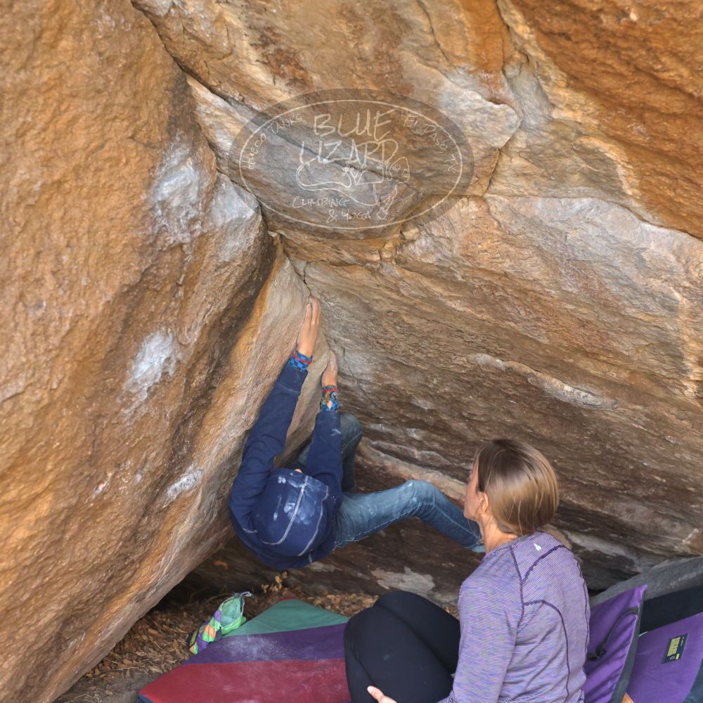 

Filename: SRM_20211223_1103550.jpg
Aperture: f/4.0
Shutter Speed: 1/2500
Body: Canon EOS R6
Lens: Canon EF 50mm f/1.8 II