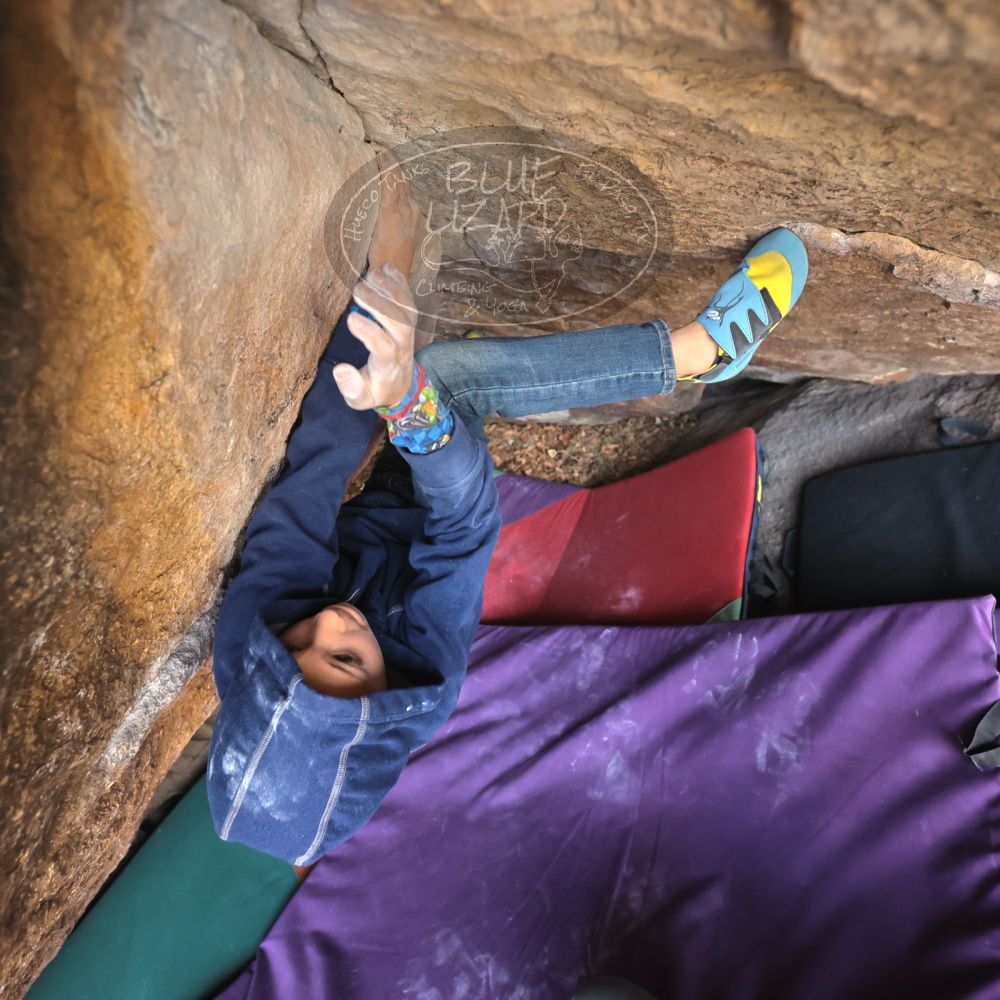 

Filename: SRM_20211223_1111081.jpg
Aperture: f/4.0
Shutter Speed: 1/1250
Body: Canon EOS R6
Lens: Canon EF 16-35mm f/2.8 L