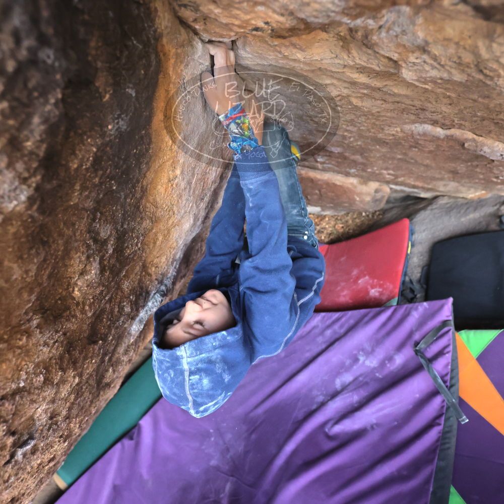 

Filename: SRM_20211223_1124390.jpg
Aperture: f/4.0
Shutter Speed: 1/1250
Body: Canon EOS R6
Lens: Canon EF 16-35mm f/2.8 L