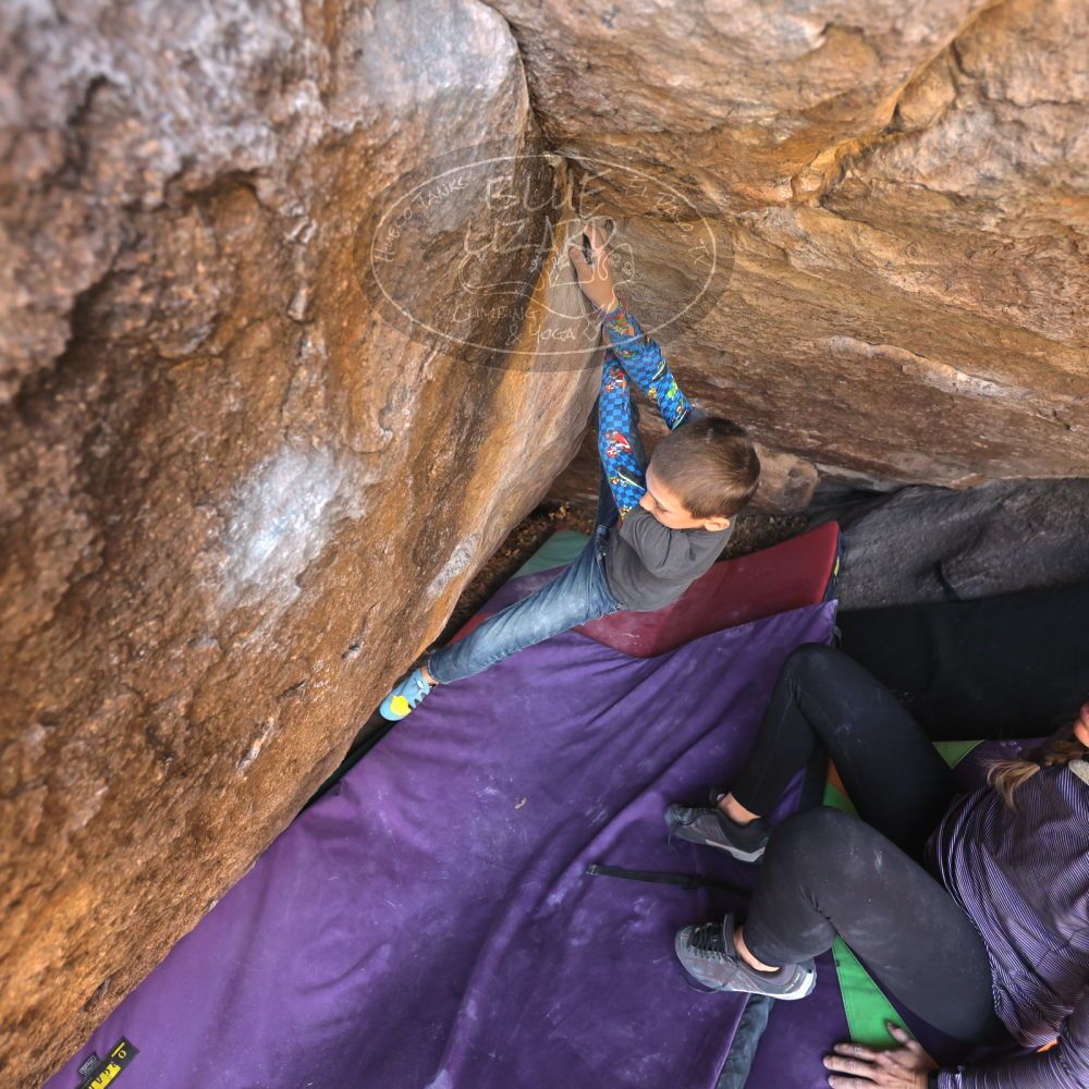 

Filename: SRM_20211223_1223070.jpg
Aperture: f/4.0
Shutter Speed: 1/320
Body: Canon EOS R6
Lens: Canon EF 16-35mm f/2.8 L