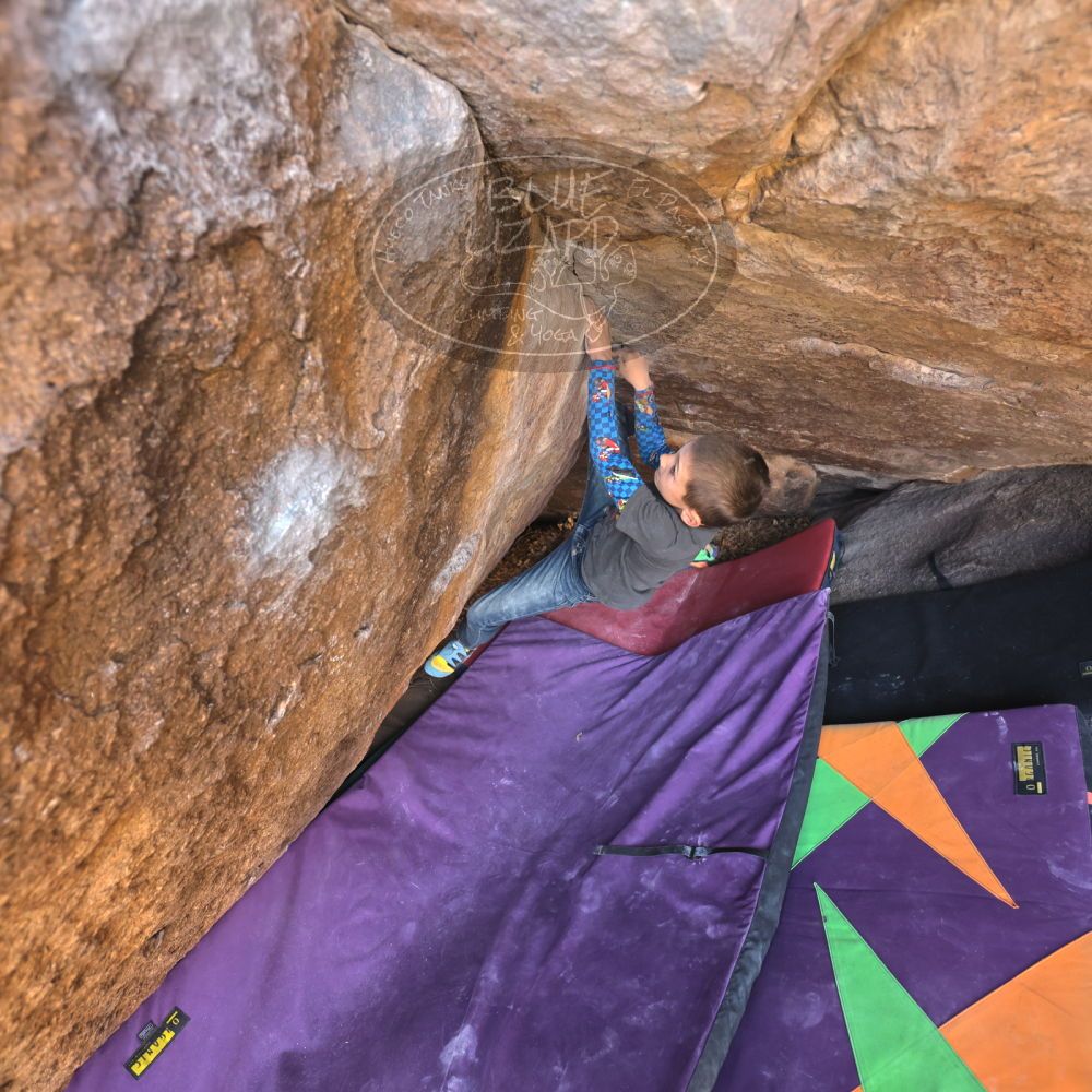 

Filename: SRM_20211223_1223410.jpg
Aperture: f/4.0
Shutter Speed: 1/320
Body: Canon EOS R6
Lens: Canon EF 16-35mm f/2.8 L