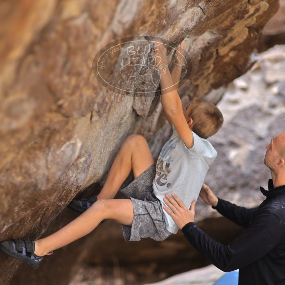 

Filename: SRM_20211223_1228210.jpg
Aperture: f/1.4
Shutter Speed: 1/2000
Body: Canon EOS R6
Lens: Canon EF 85mm f/1.2 L II